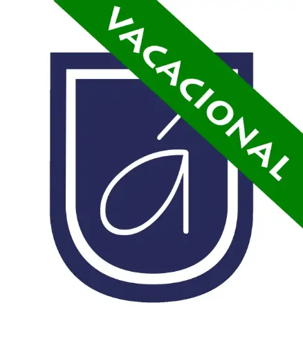 Registro Curso Vacacional